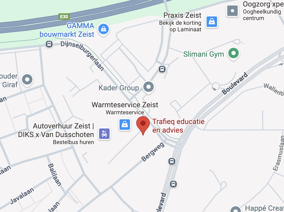 Google Maps Bergweg 173a Zeist